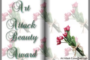 Art Attack Beauty Award 300x200
