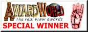AwardWorld Special Award 180x65