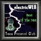 ElectricWEB Best of the Net Award