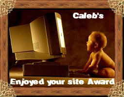 Caleb's Liked Your Site Award 255x200