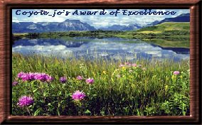 Coyote Jo's Award of Excellence