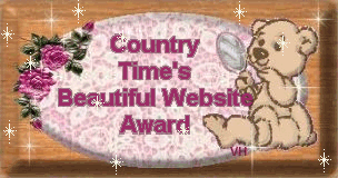 Country Time's Beautiful Website Award 304x160