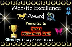 Crazy About Horses Award of Excellence