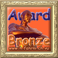 Fahrni Bronze Award