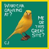 Coyote Jo's Lucky Stars Award