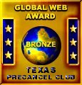 Simming Force Bronze Global Web Award