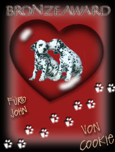 Sweet Cookie Bronze Award