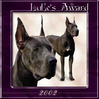 Luke's Award 2002