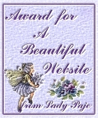 Award for A Beautiful Website from Lady Paje 200x240