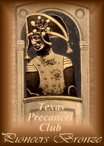 Pioneers Bronze Award