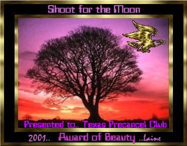 Shoot For the Moon Award of Beauty Award 2001 372x290