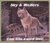 Sky & Wolfers Cool Site Award