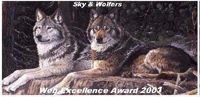Sky & Wolfers Web Excellence Award