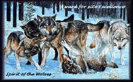 Spirit Of The Wolves Excellence Award 426x263