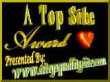 A Top Site Award