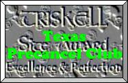 Triskell Award for Excellence and Perfection 187x121