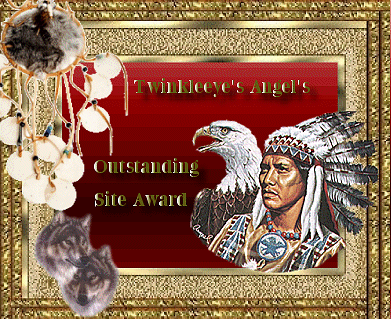 Twinkleeye's Angel's Outstanding Site Award 2002