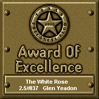 TPC Excellence Award Serial 037