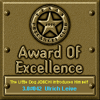 TPC Excellence Award Serial 042