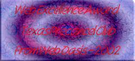 Web Oasis Web Excellence Award 2002